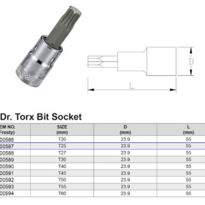 PUNTA TORX T25 1/2”