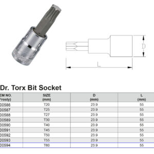 PUNTA TORX T60 1/2”