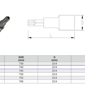 PUNTA TORX PERFORADA (ANTISABOTAJE) TP40 1/2”