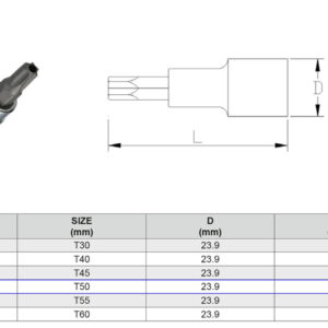 PUNTA TORX PERFORADA (ANTISABOTAJE) TP50 1/2”