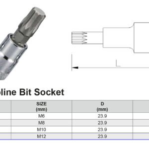 PUNTA XZN M12 1/2”